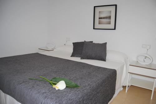 Alborada Apartament