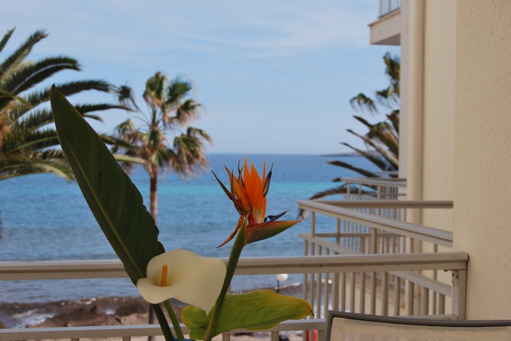 Apartament Alborada *